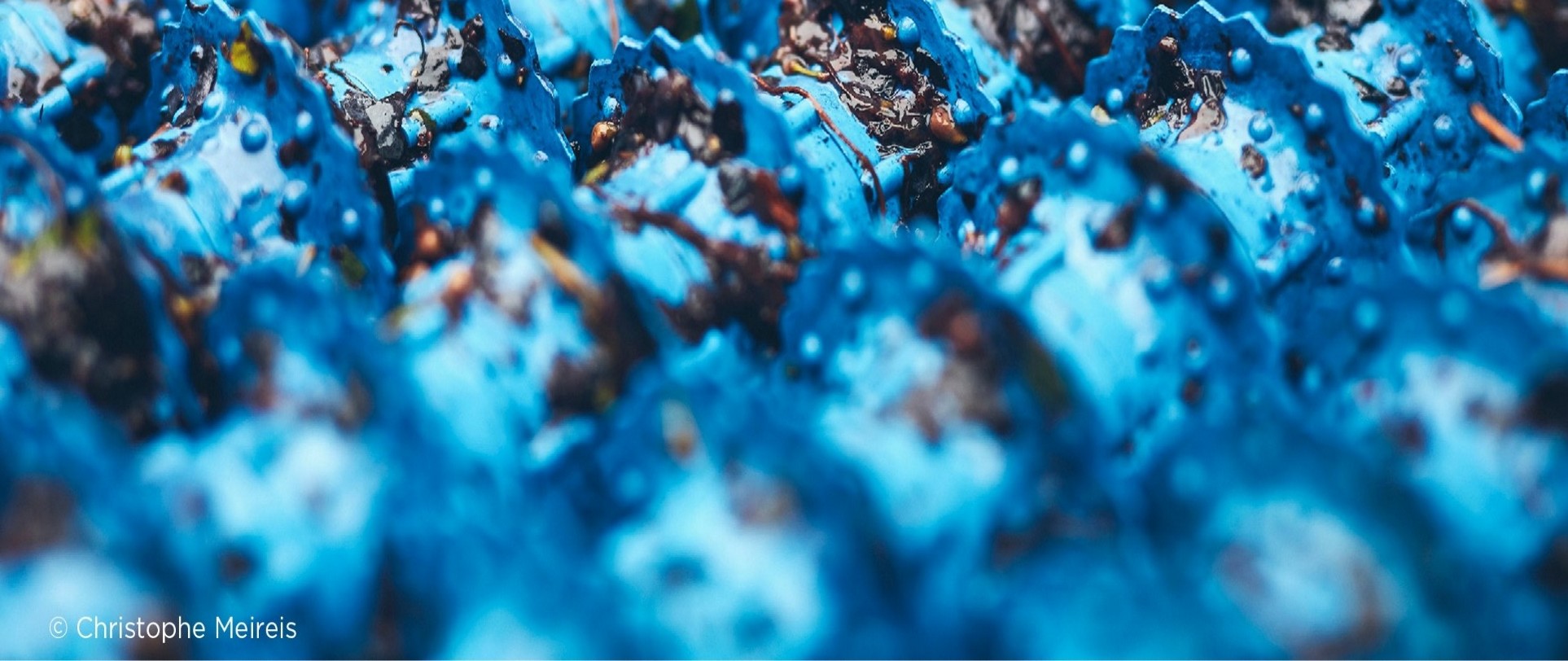 Mission Europa: European sovereignty as a bulwark against crisis